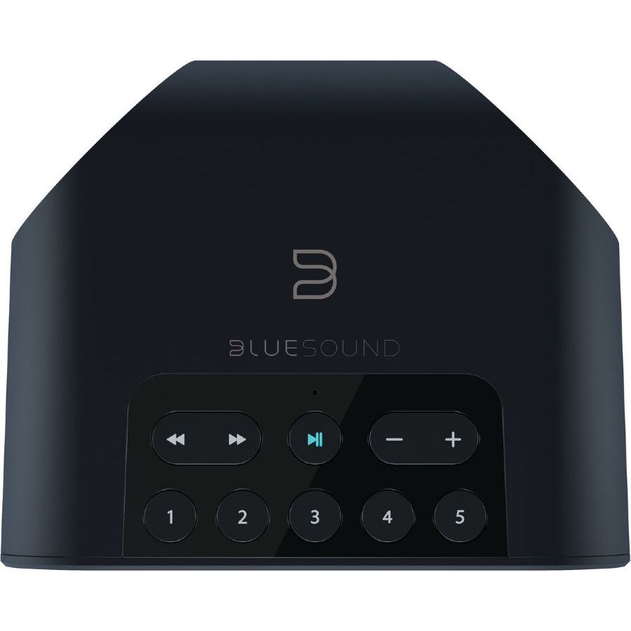 Altavoz mono Bluesound Pulse Flex 2i