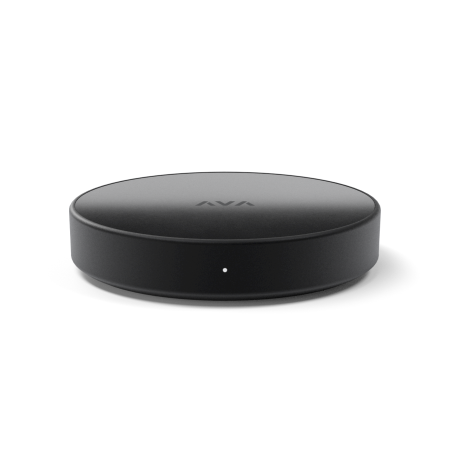 AVA Nano Brain