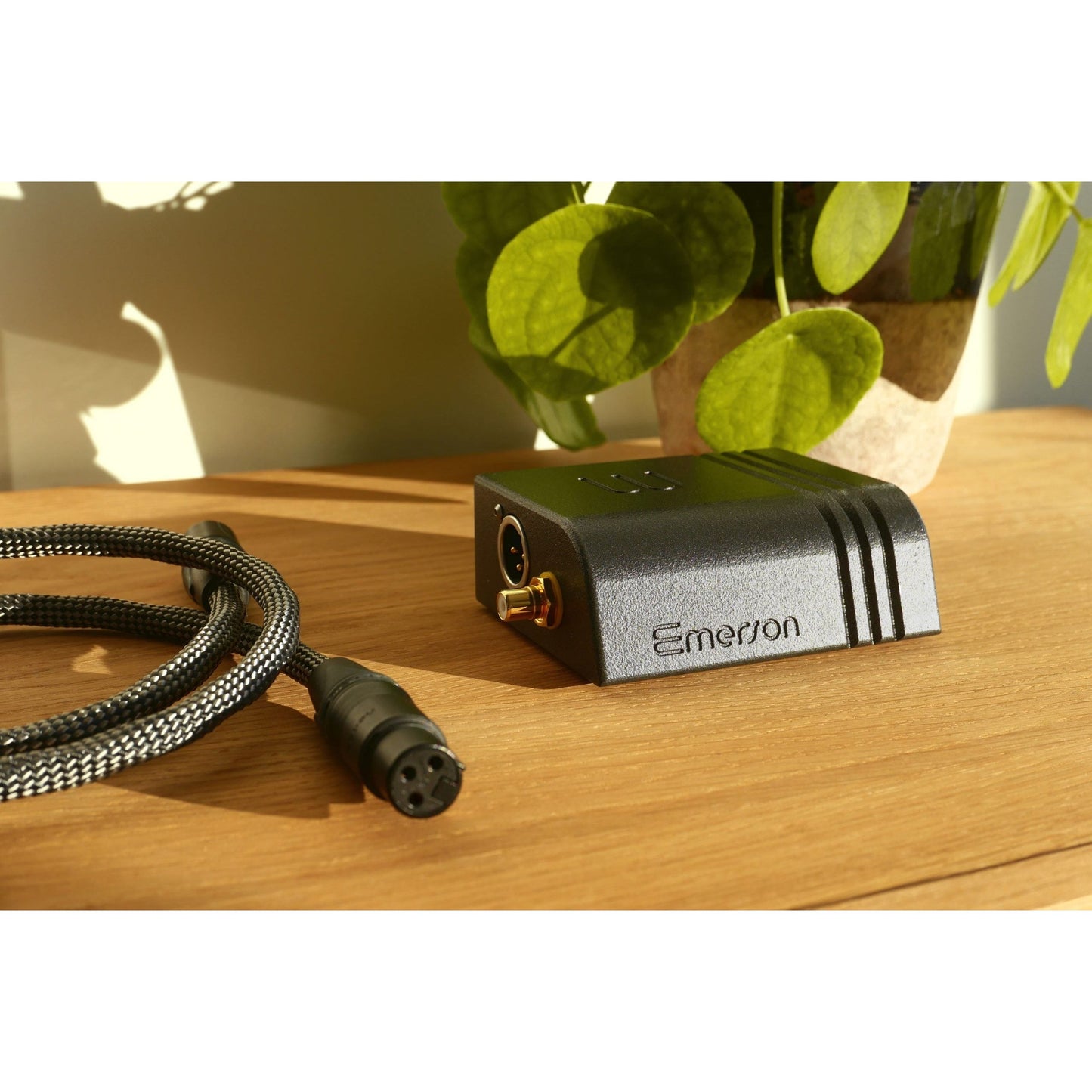 Streamer Wattson Audio Emerson Digital