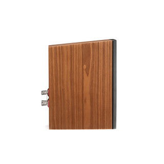 Pareja de cajas acústicas Martin Logan Motion XT B100