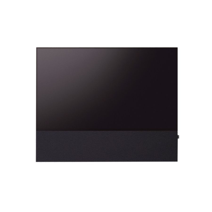 CANVAS 55"