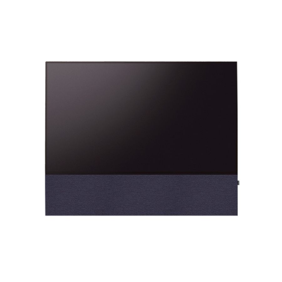 CANVAS 55"