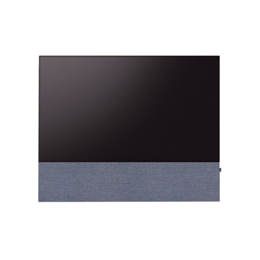CANVAS 55"