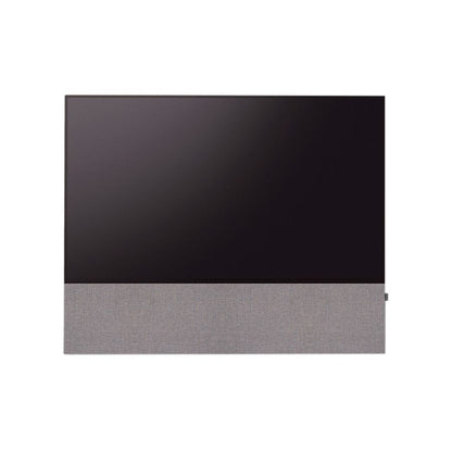 CANVAS 55"