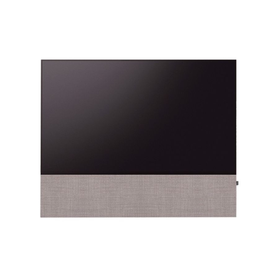 CANVAS 55"