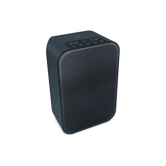 Altavoz mono Bluesound Pulse Flex 2i