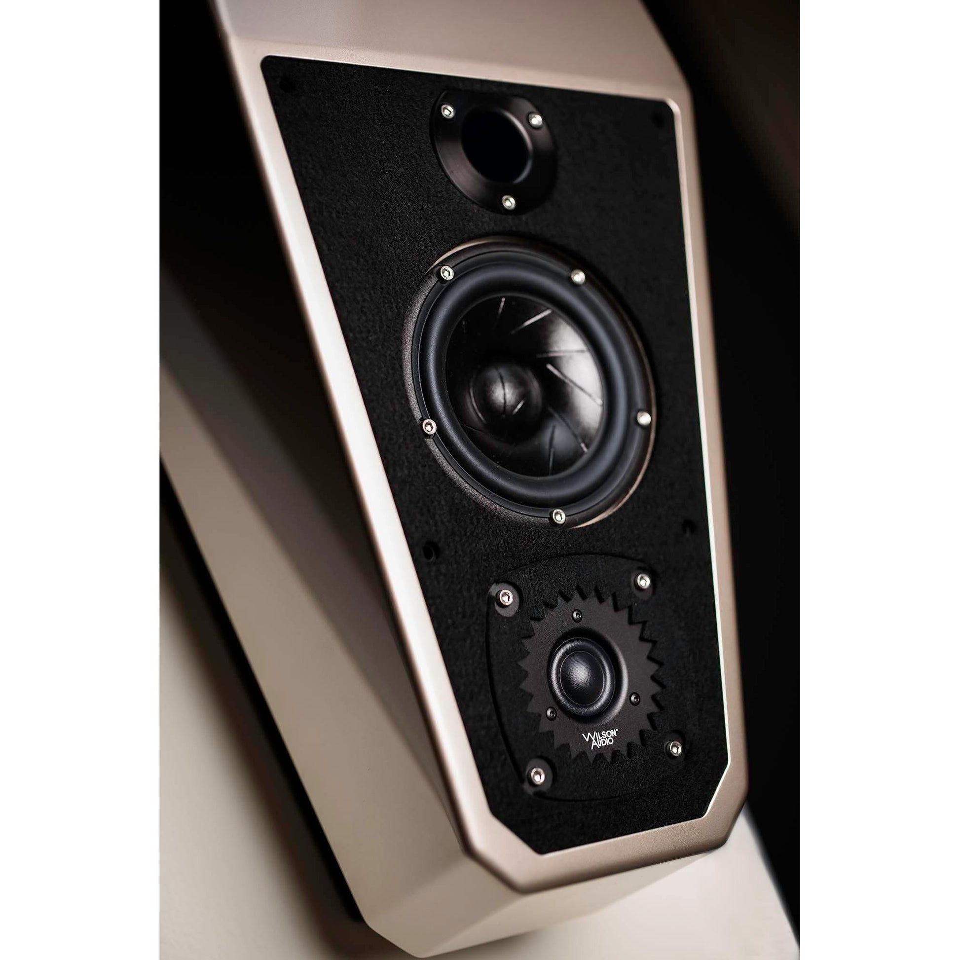 wilson_audio_wilsonaudio_alida_cajaacust