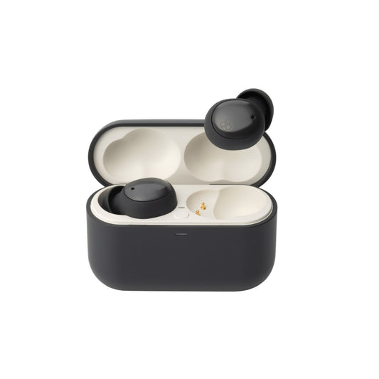 Final Audio ZE500 for ASMR