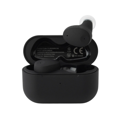 Final Audio ZE300
