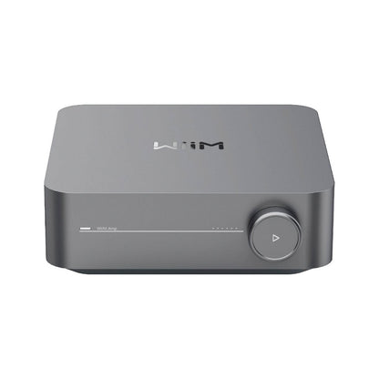 Amplificador Wiim Amp