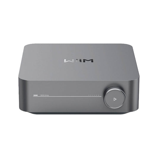 Amplificador Wiim Amp