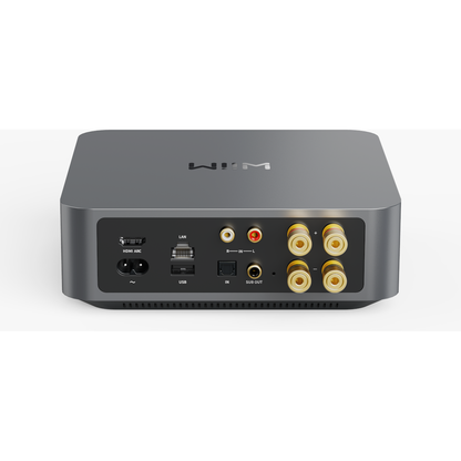 Amplificador Wiim Amp
