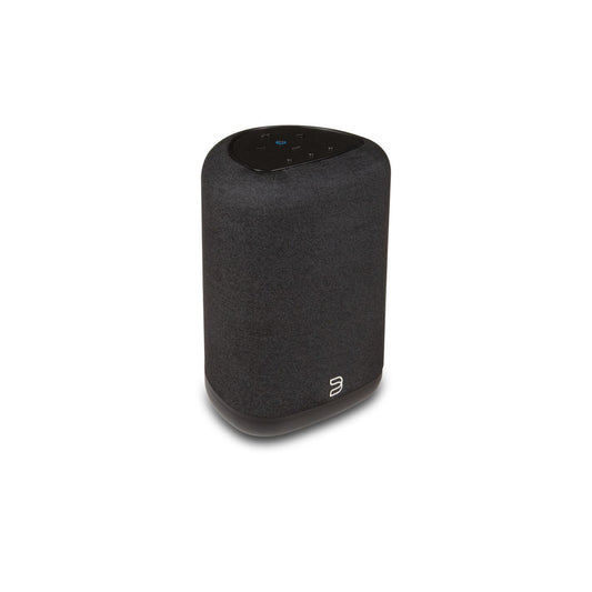 BLUESOUND Pulse Flex (P130)