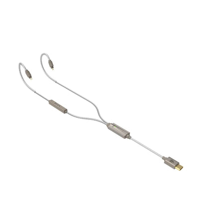 iFi Audio GO Cable