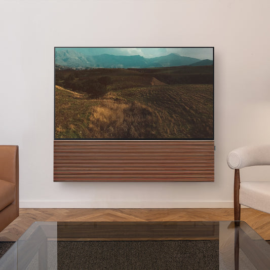 CANVAS 65"