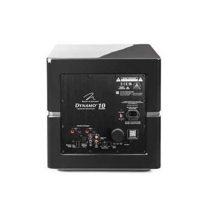 MartinLogan Dynamo 10