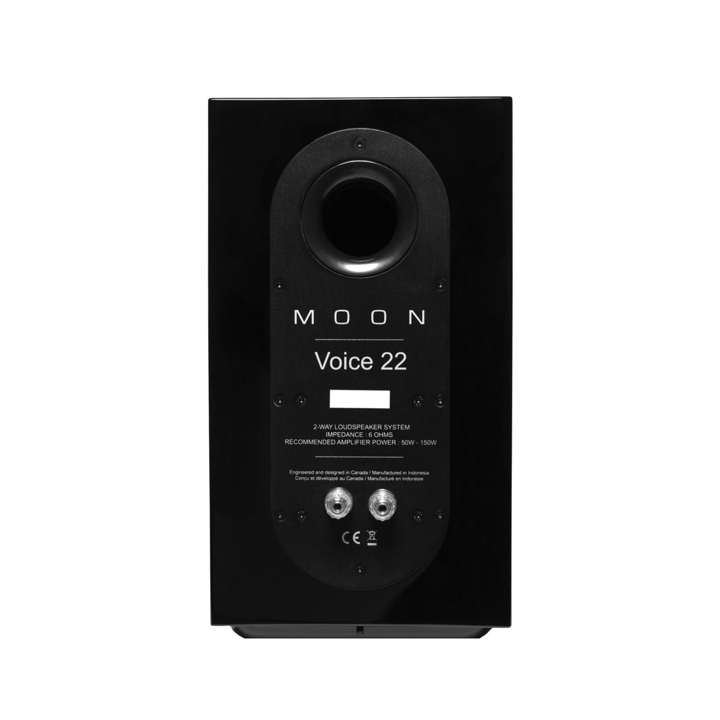 Moon Voice 22
