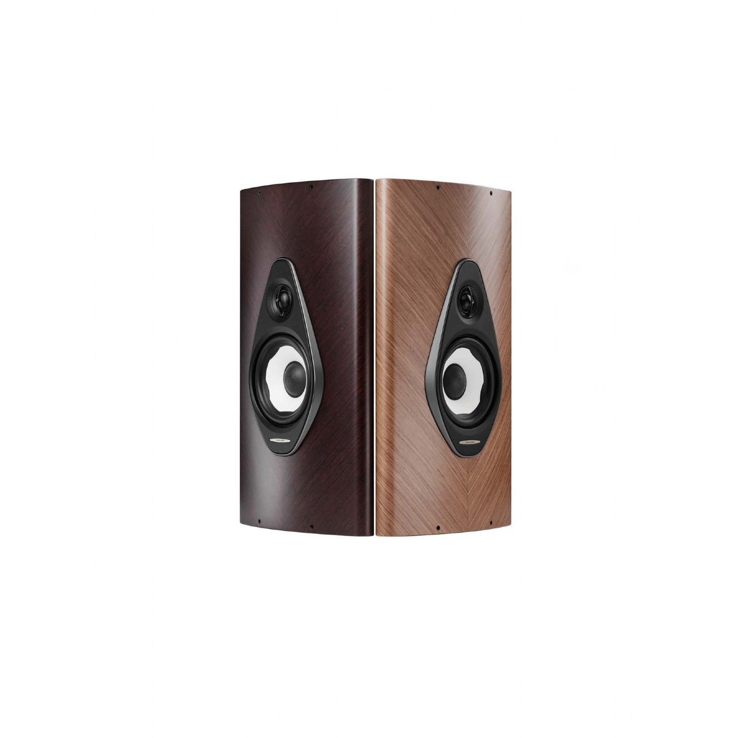 Sonus Faber Olympica G3 On Wall