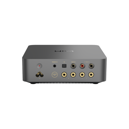 WiiM Vibelink Amp