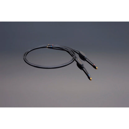 Cable Gen 6 Transparent REFERENCE RCA PHONO -RPH-